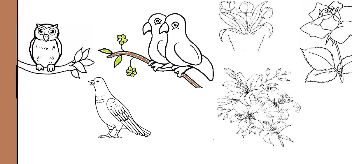 Detail Gambar Flora Dan Fauna Hitam Putih Nomer 8