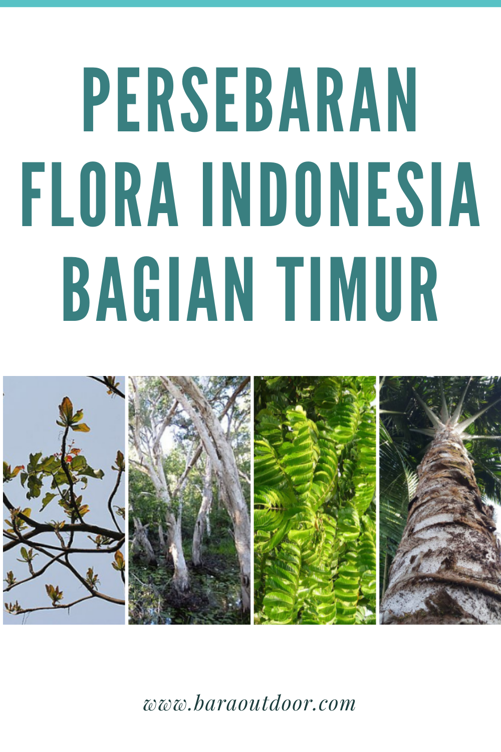 Detail Gambar Flora Di Indonesia Bagian Timur Nomer 3