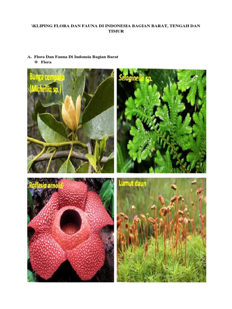 Detail Gambar Flora Di Indonesia Bagian Timur Nomer 10
