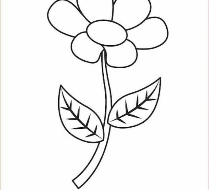 Detail Gambar Flora Di Talenan Nomer 56