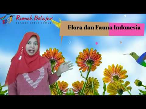 Detail Gambar Flora Indo Australia Nomer 36