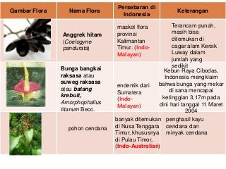 Detail Gambar Flora Indo Australia Nomer 5