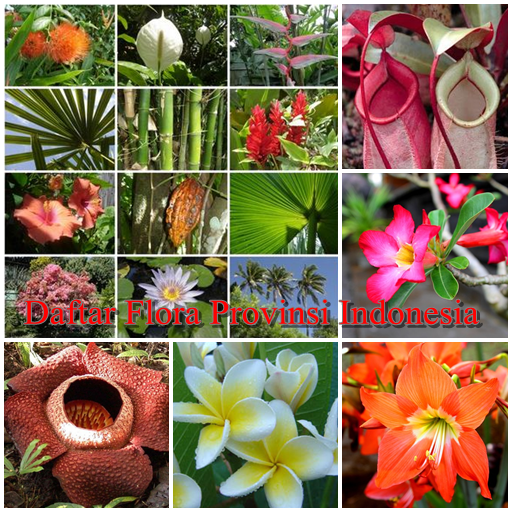 Detail Gambar Flora Indonesia Nomer 14