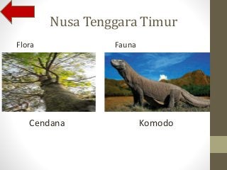 Detail Gambar Flora Indonesia Bagian Tengah Nomer 36
