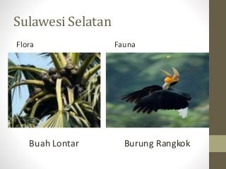 Detail Gambar Flora Indonesia Bagian Tengah Nomer 51