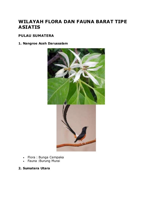 Detail Gambar Flora Peralihan Nomer 20