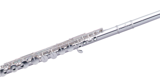 Detail Gambar Flute Nomer 19