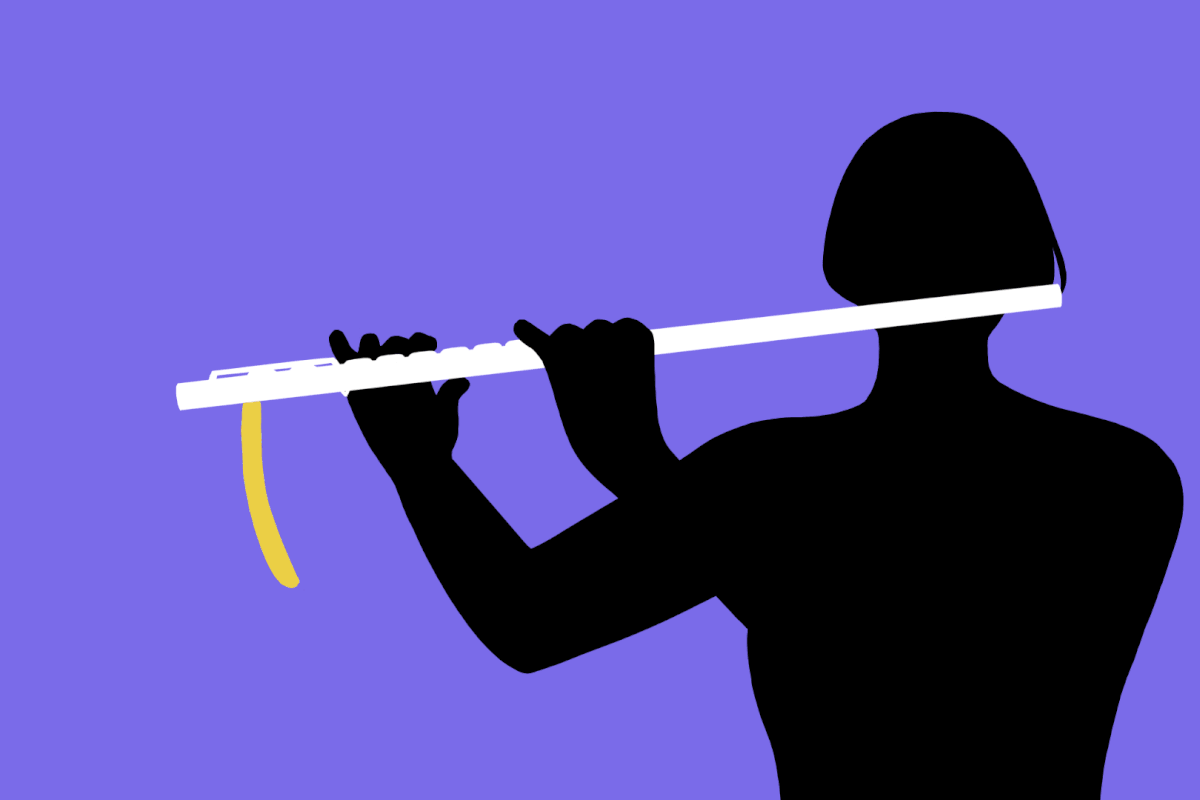 Detail Gambar Flute Nomer 29