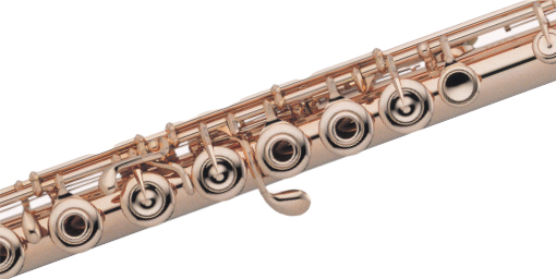 Detail Gambar Flute Nomer 47