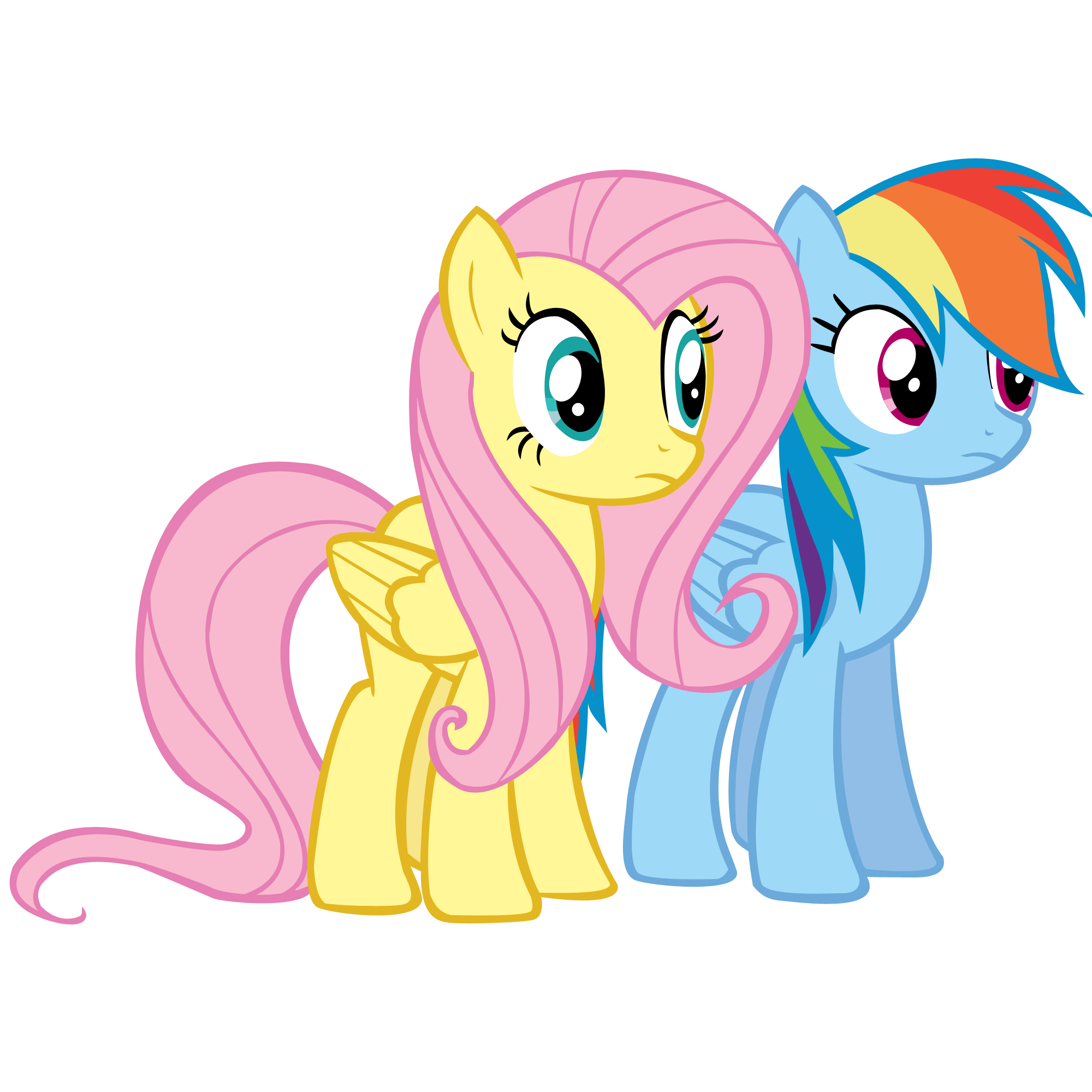 Detail Gambar Fluttershy Dan Rainbow Dash Nomer 2