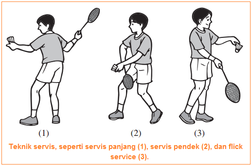 Detail Gambar Forehand Dalam Bulu Tangkis Nomer 41