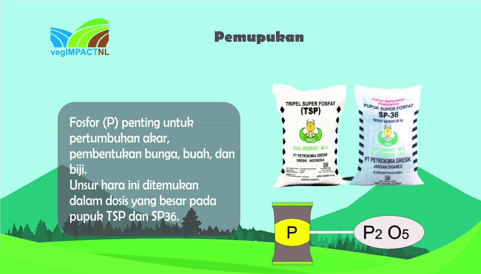 Gambar Fosfor Bagi Tanaman - KibrisPDR