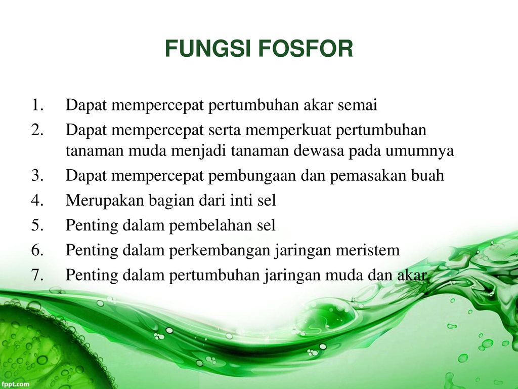 Detail Gambar Fosfor Bgi Tanaman Nomer 29