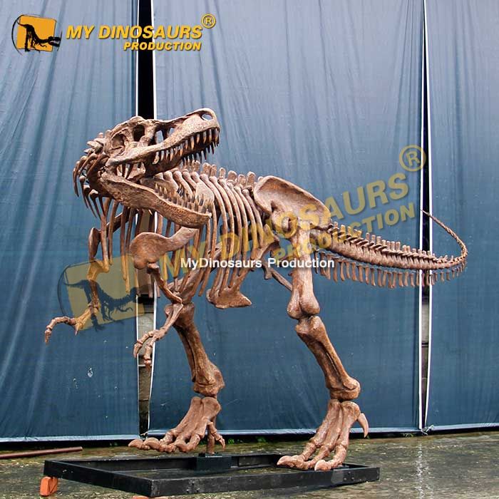 Detail Gambar Fosil Dinosaurus Trex Nomer 30