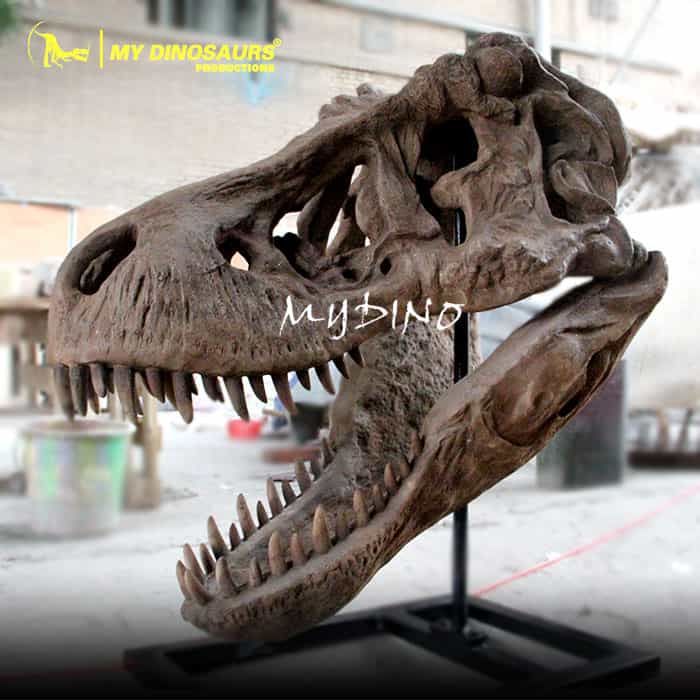 Detail Gambar Fosil Dinosaurus Trex Nomer 34