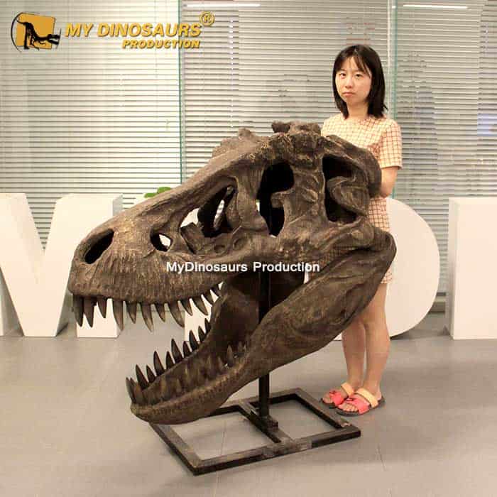 Detail Gambar Fosil Dinosaurus Trex Nomer 45