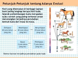 Detail Gambar Fosil Kuda Nomer 28