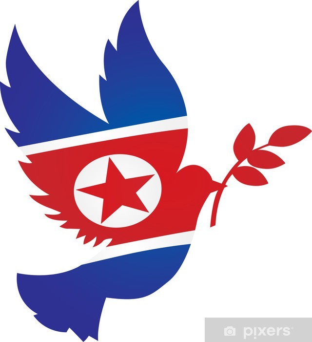 Detail Nordkorea Flagge Nomer 19