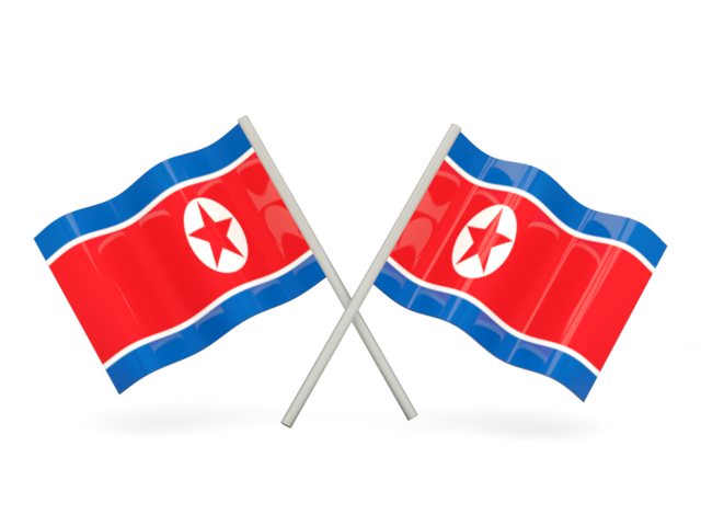 Detail Nordkorea Flagge Nomer 21