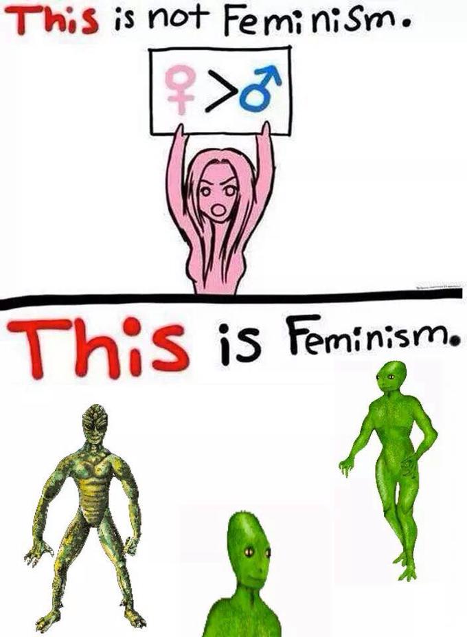 Detail Feminismus Meme Nomer 6