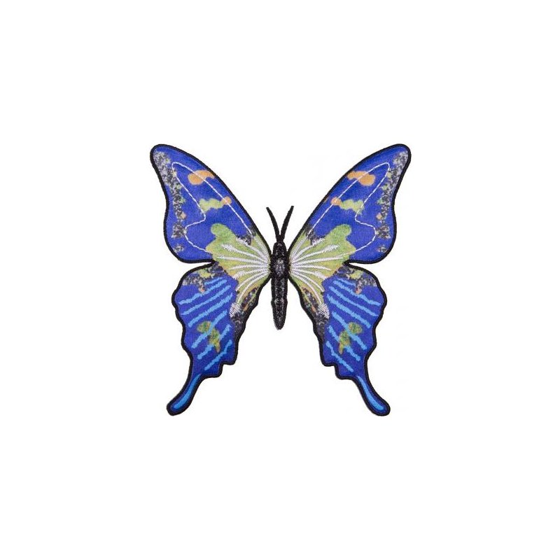 Detail Fingerabdruck Schmetterling Nomer 12