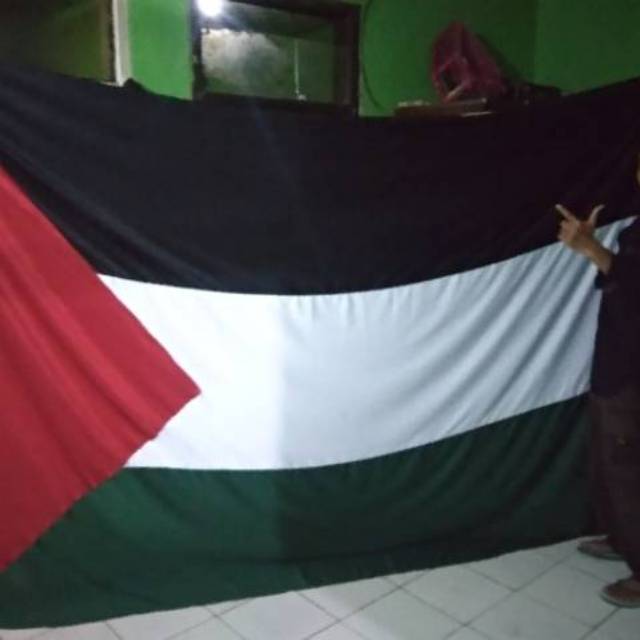 Detail Gambar Foto Bendera Palestina Nomer 40