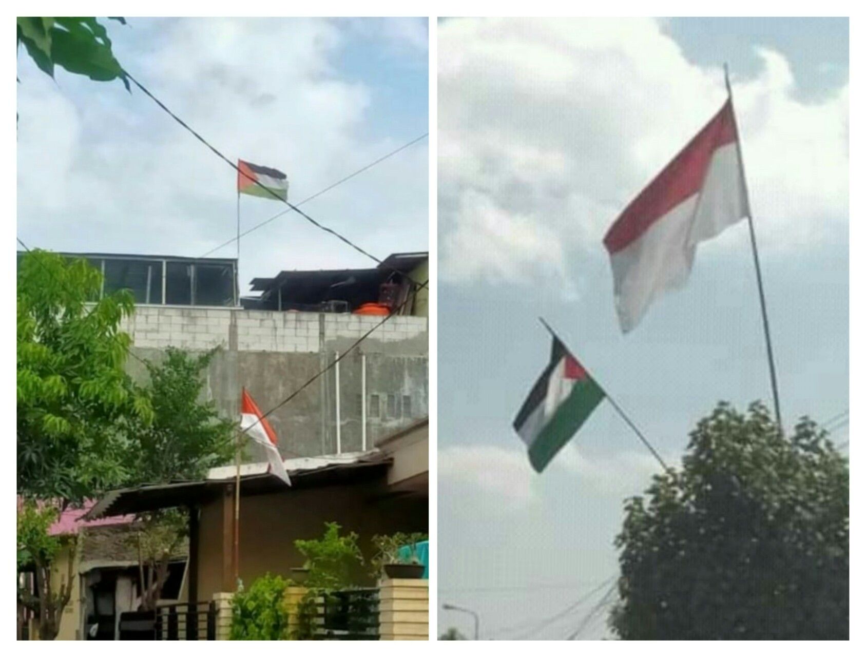 Detail Gambar Foto Bendera Palestina Nomer 56