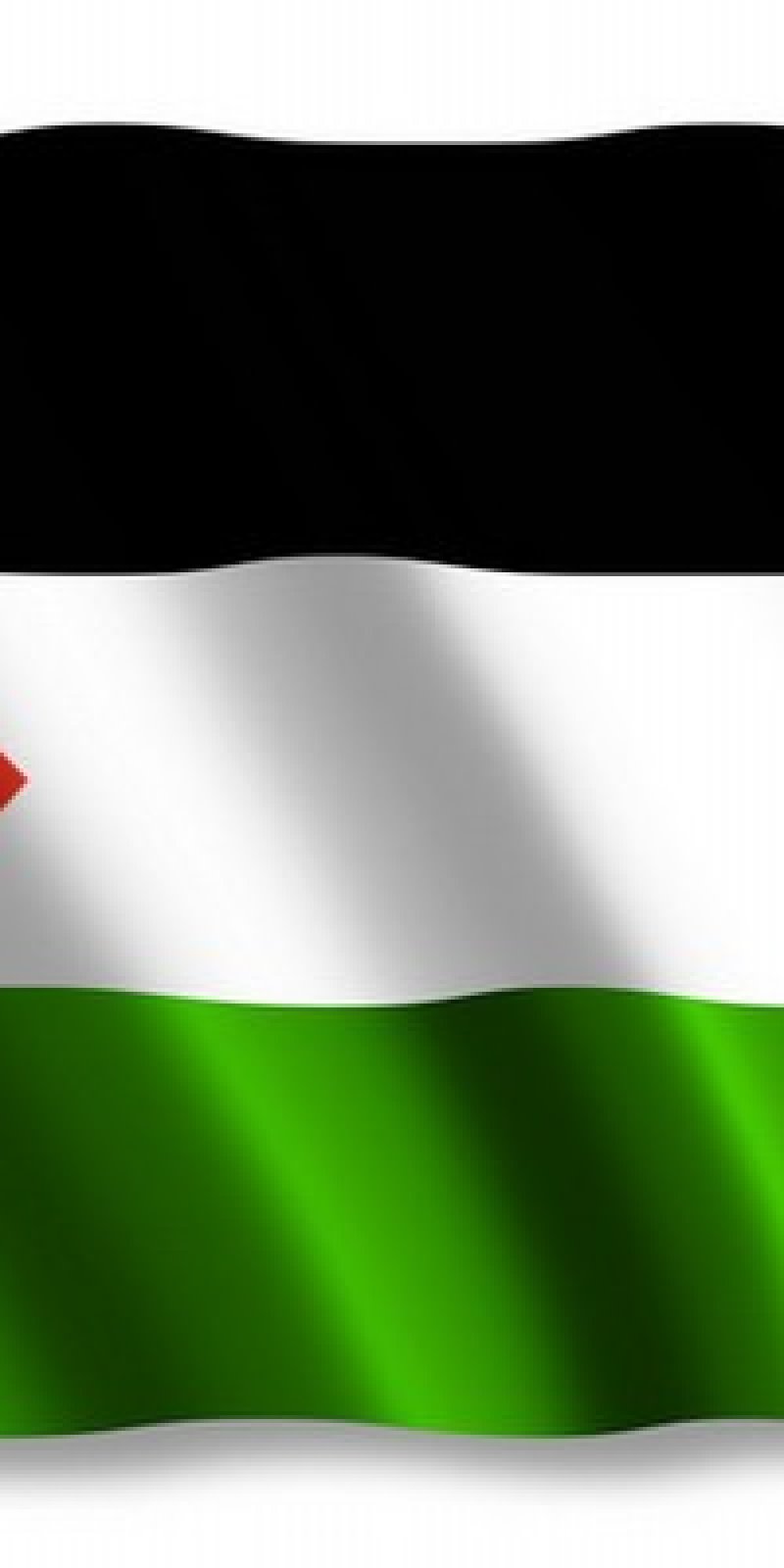 Detail Gambar Foto Bendera Palestina Nomer 9
