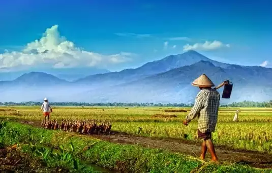 Detail Gambar Foto Desa Di Indonesia Nomer 11