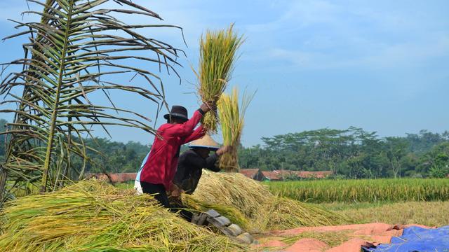 Detail Gambar Foto Desa Di Indonesia Nomer 35