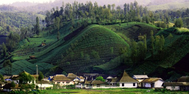 Detail Gambar Foto Desa Di Indonesia Nomer 5