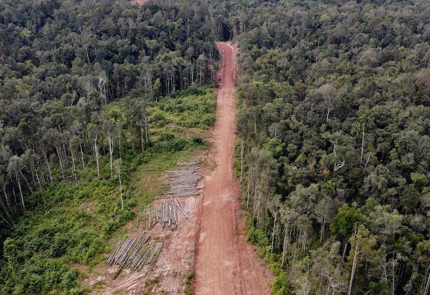 Detail Gambar Foto Jalan Trans Papua Nomer 33