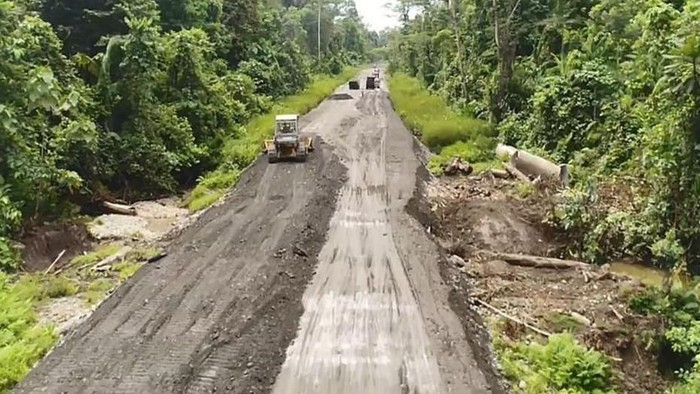 Detail Gambar Foto Jalan Trans Papua Nomer 44