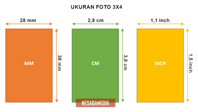 Detail Gambar Foto Ukuran 3x4 Nomer 6