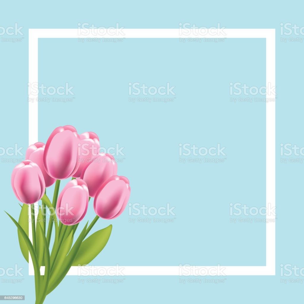 Detail Gambar Frame Bunga Tulip Nomer 21