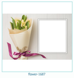 Detail Gambar Frame Bunga Tulip Nomer 29