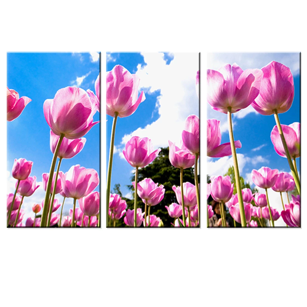 Detail Gambar Frame Bunga Tulip Nomer 51