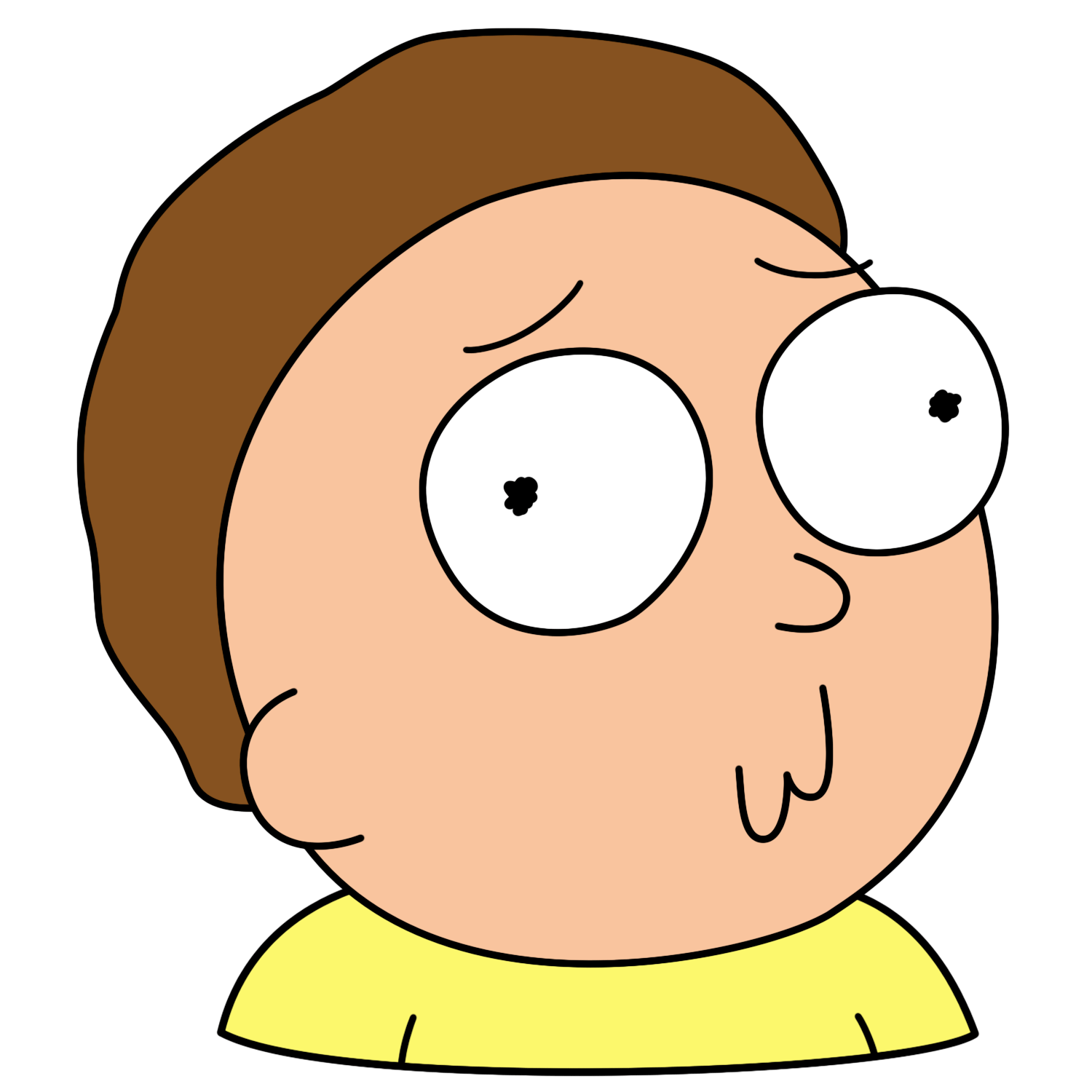 Morty Confused Face - KibrisPDR