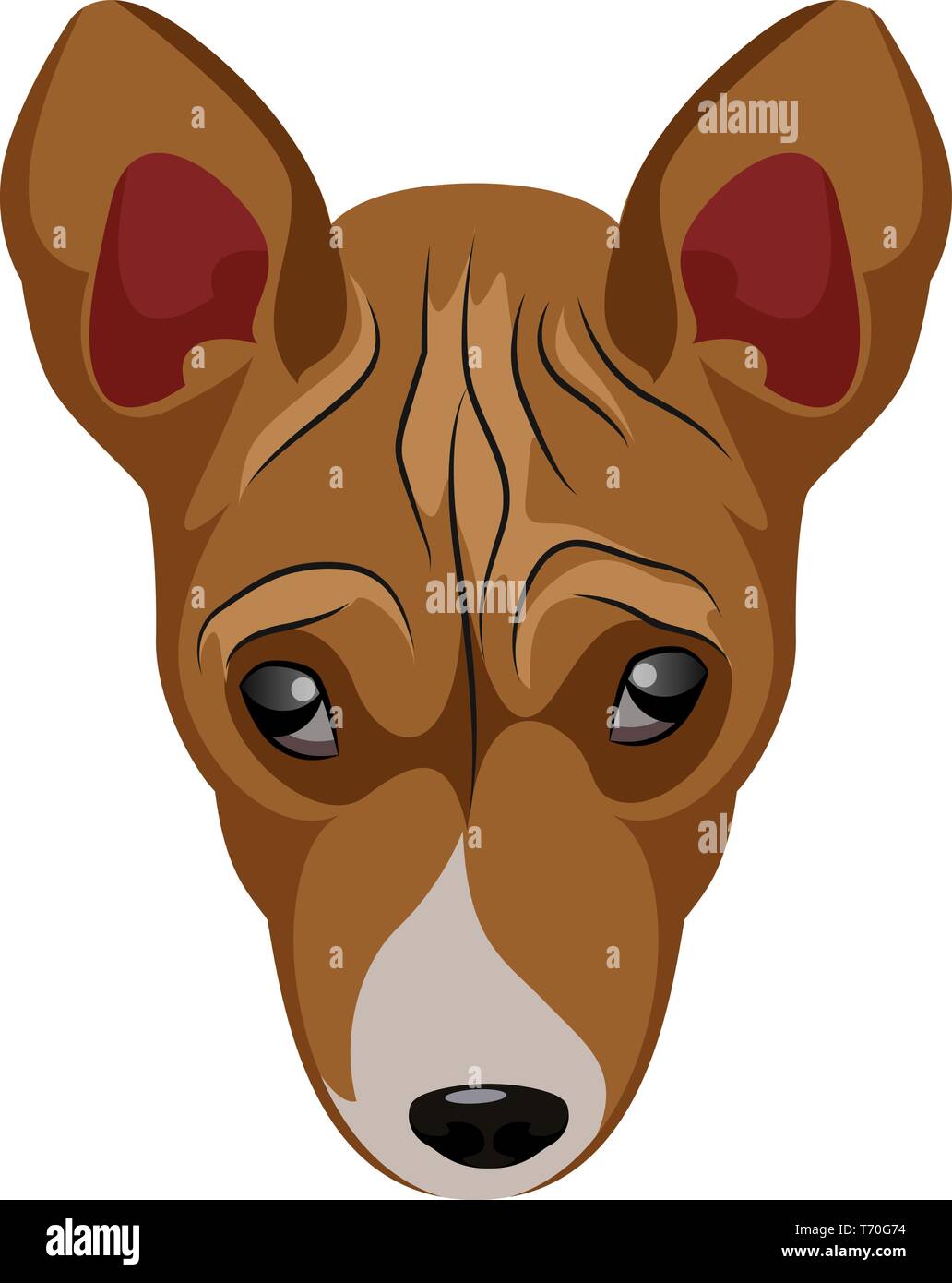 Detail Basenji Whippet Mix Nomer 3