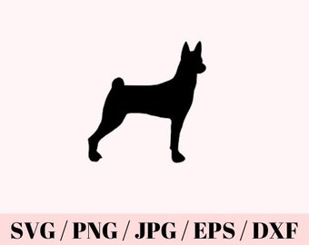 Detail Basenji Whippet Mix Nomer 8