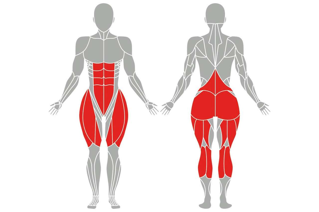 Detail Bein Anatomie Knochen Nomer 16