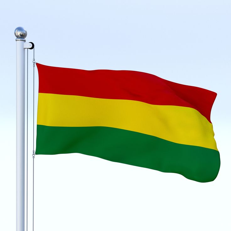 Detail Bolivien Flagge Nomer 16