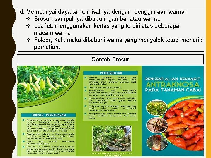 Detail Contoh Brosur Pertanian Nomer 14