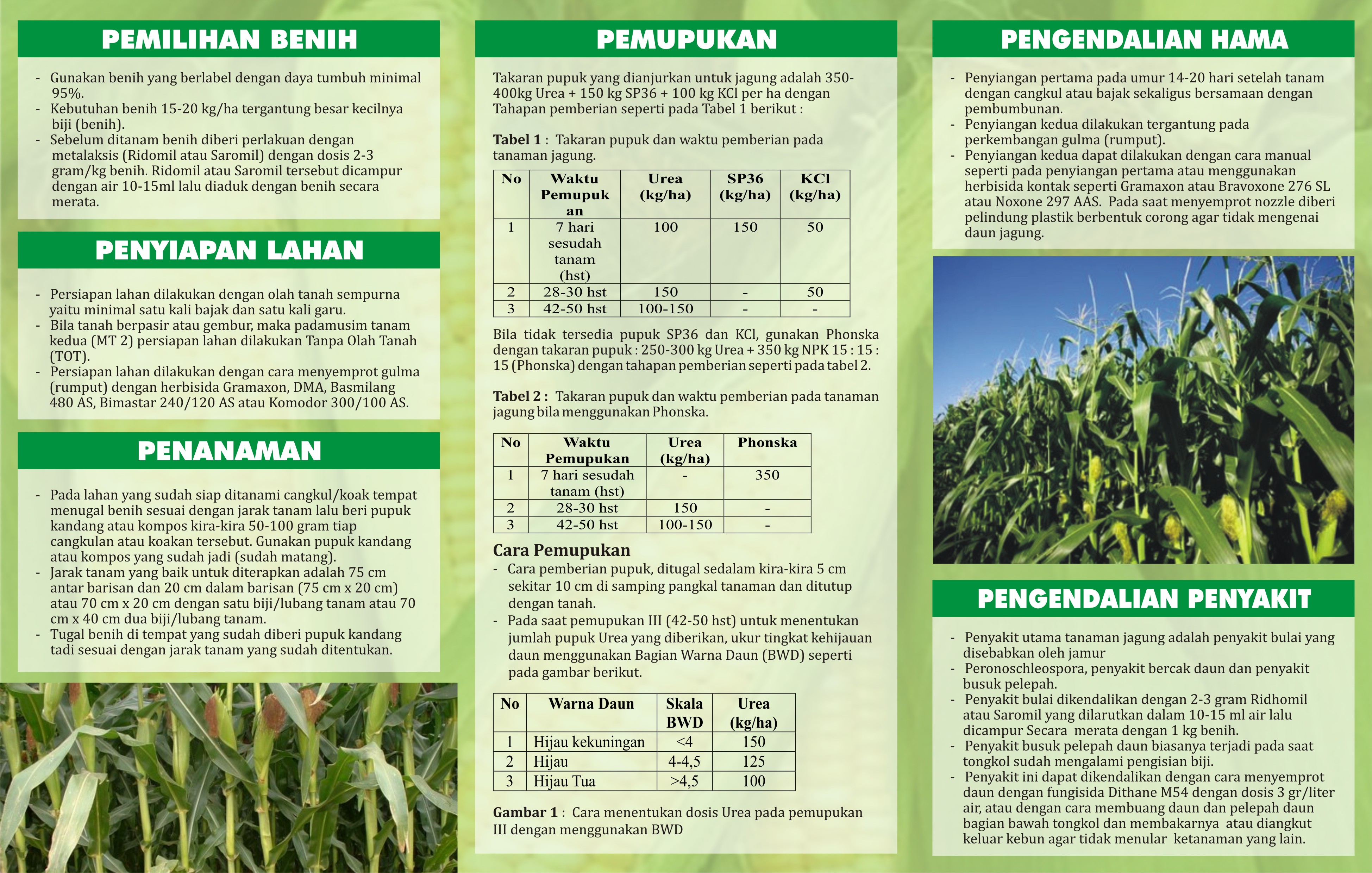 Detail Contoh Brosur Pertanian Nomer 18