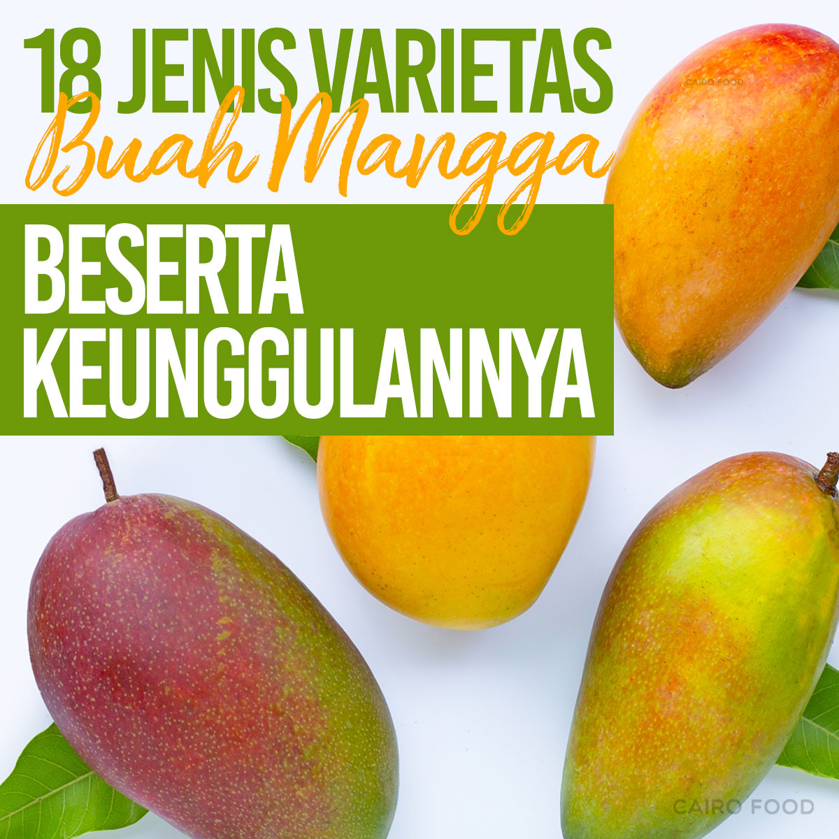 Detail Contoh Buah Mangga Nomer 2