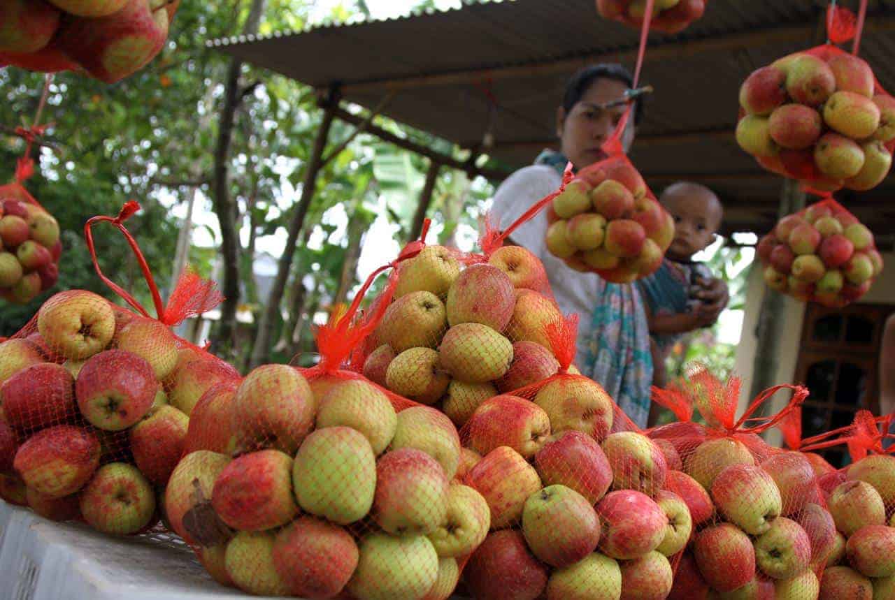 Detail Contoh Buah Sepanjang Tahun Nomer 7