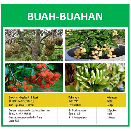 Detail Contoh Buah Tunggal Nomer 51