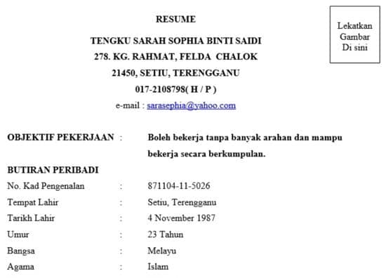 Detail Contoh Buat Resume Nomer 9