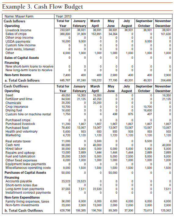 Detail Contoh Budgeting Plan Nomer 44