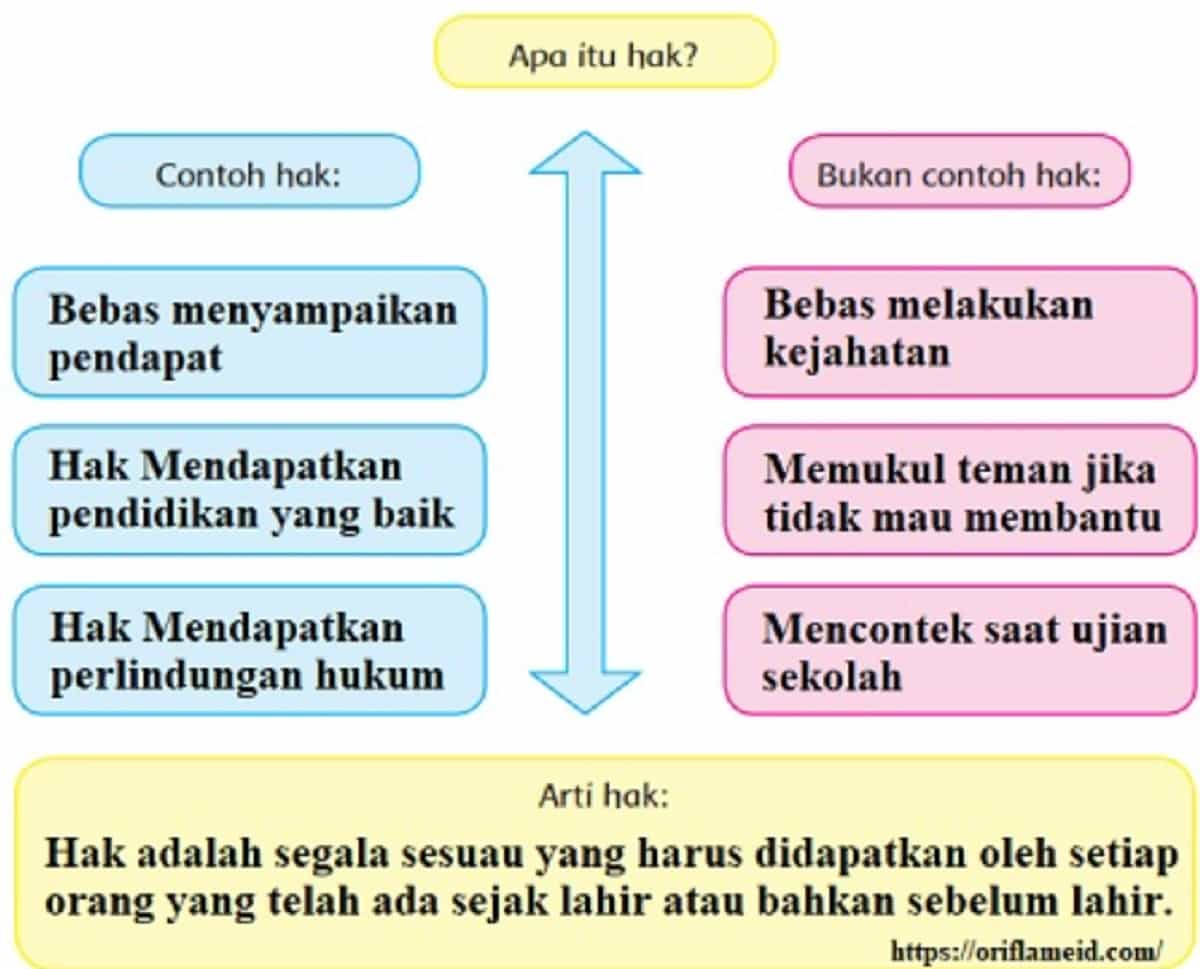 Detail Contoh Bukan Hak Nomer 3